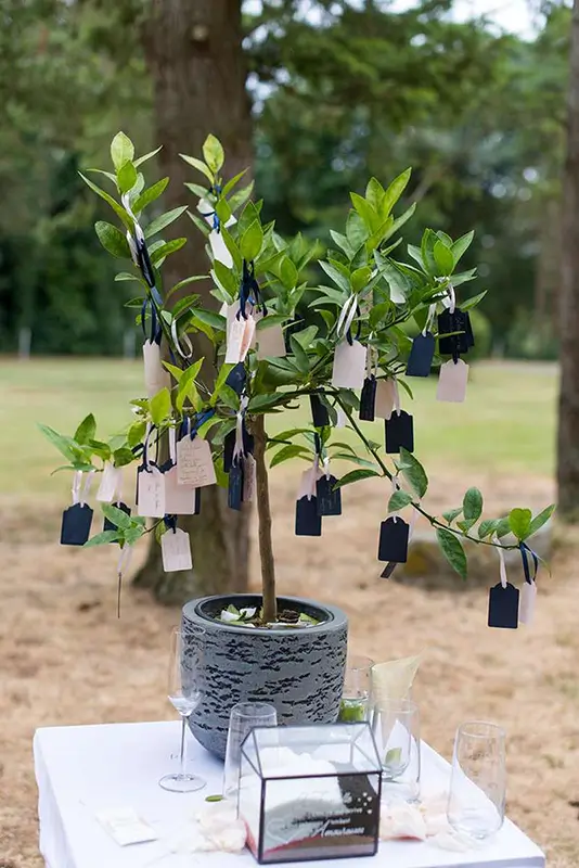 rituel de l'arbre : Quels sont les rituels d'un mariage laïque