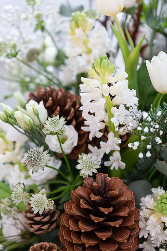 Fleurs intimiste Douceur d’hiver